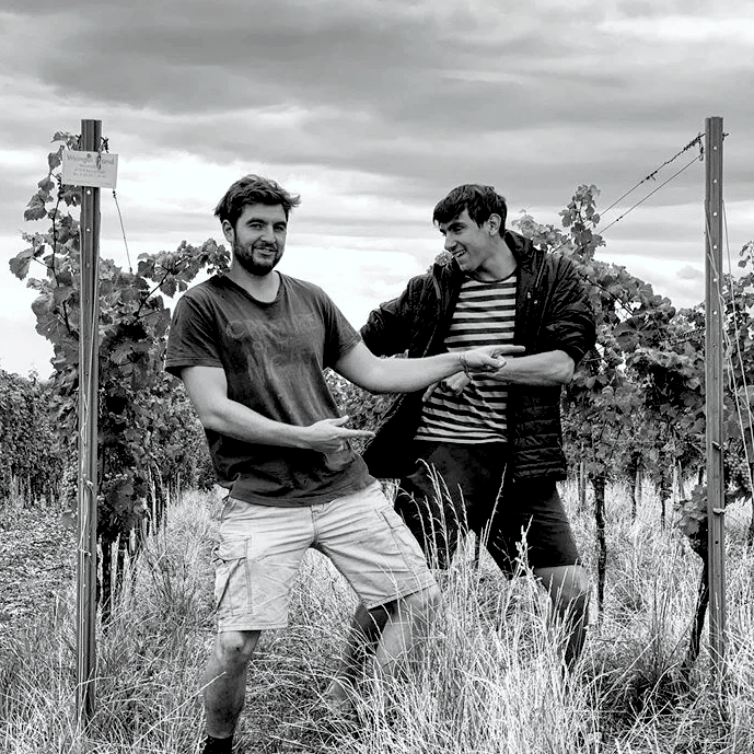 Two men standing in a vineyard shaking hands with a cloudy sky above.