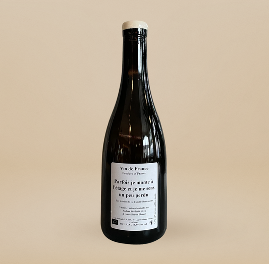 Anders Frederick Steen Parfois je monte à l'étage et je me sens un peu perdu 2018 - 500ml